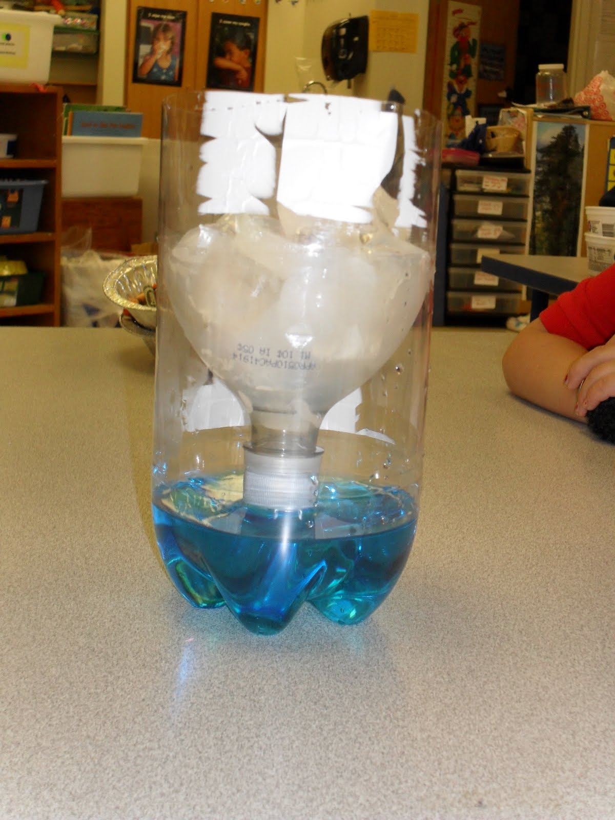Water Cycle in a Bottle Science Experiment 