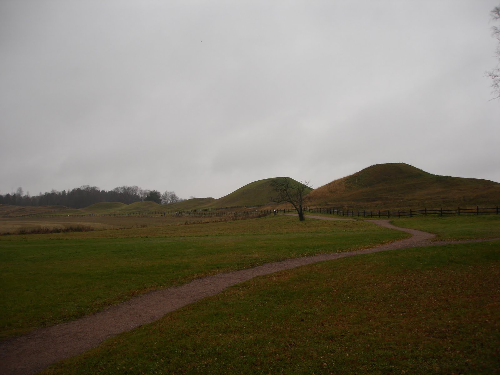 DE 10 B STA SEV RDHETERNA I UPPSALA visual data 8