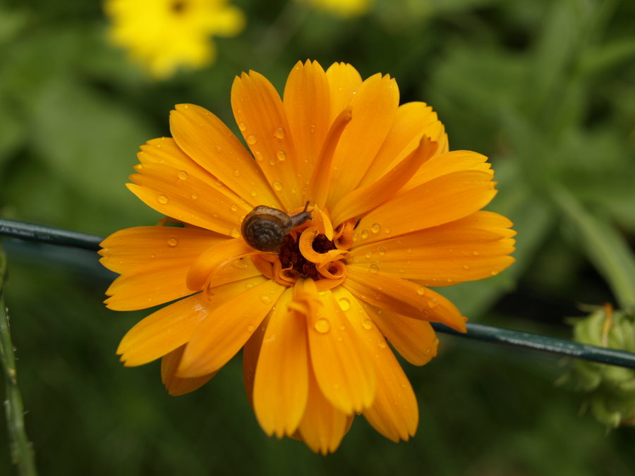 [00283_by_mbamboo.jpg]