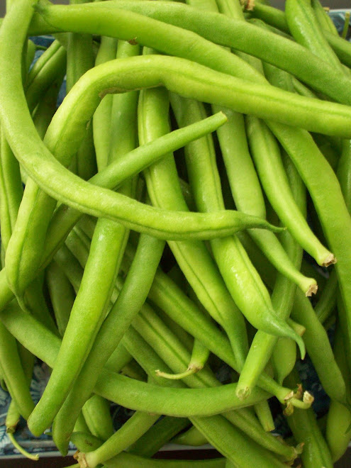 SLO Green Beans