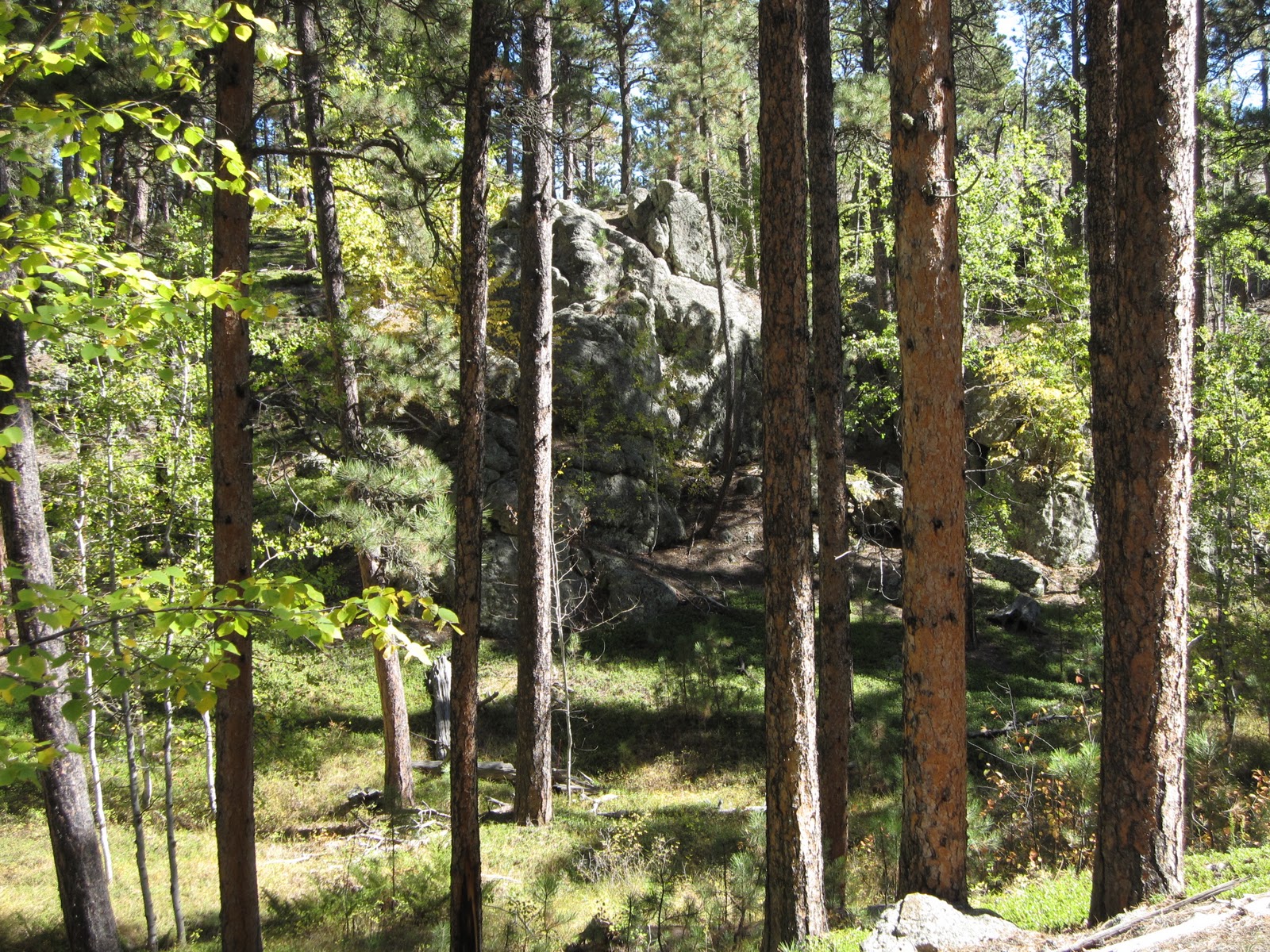 The Hikemasters' Trail Descriptions: Iron Mountain Loop, Black Elk ...