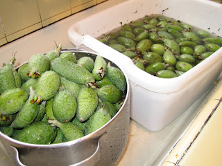http://4.bp.blogspot.com/_RmoVyXkFXIM/SxyvWPhd8DI/AAAAAAAAAF4/Xc7CuMcrvus/s320/jam+001.JPG