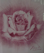 Fleur rose des champs. Juillet 2008. Publié par Audrey à 17:31 dsc gf