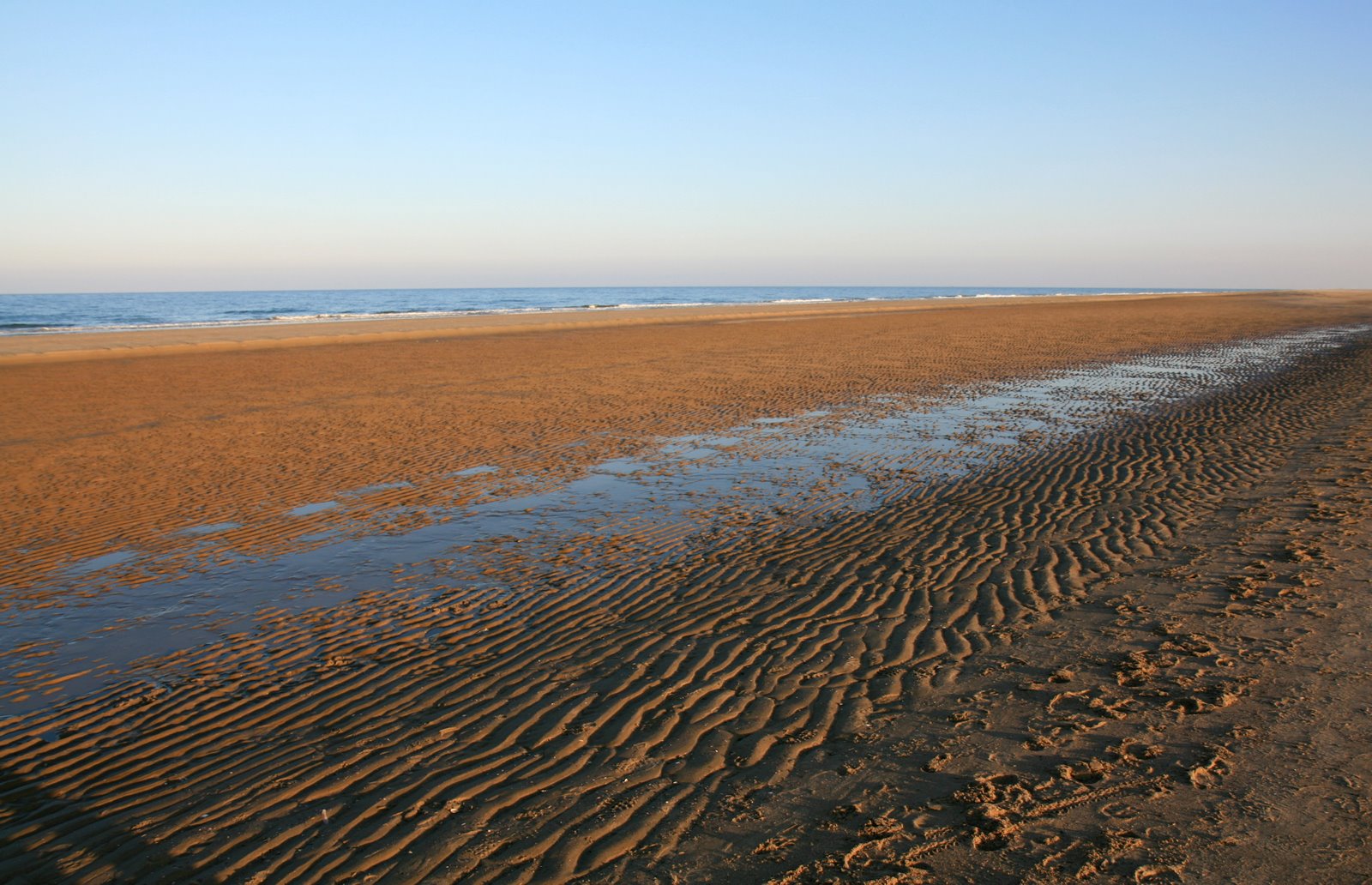 [IMG_2225.JPG]