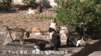 [090116.gif]