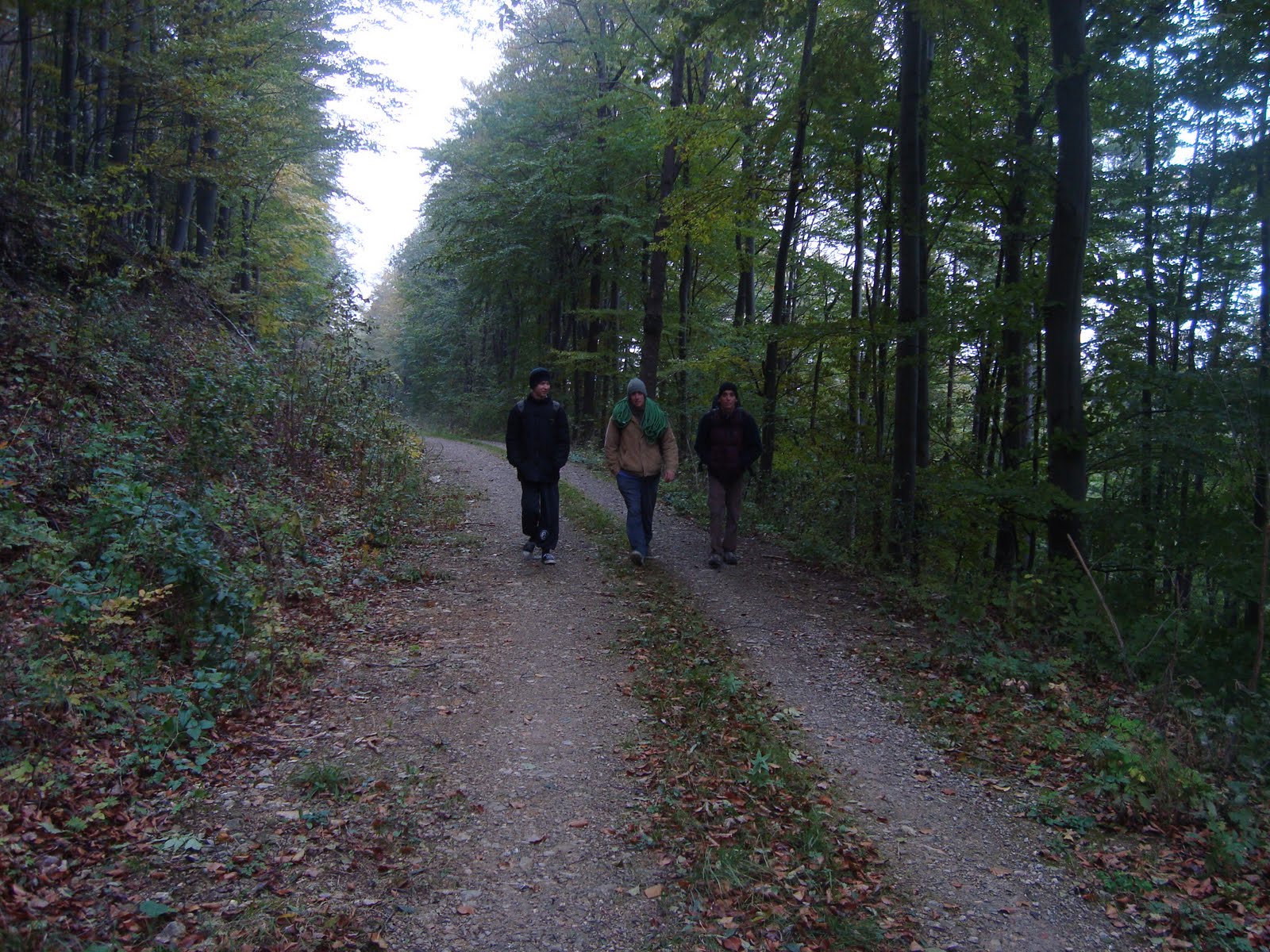 [DSC06355.JPG]
