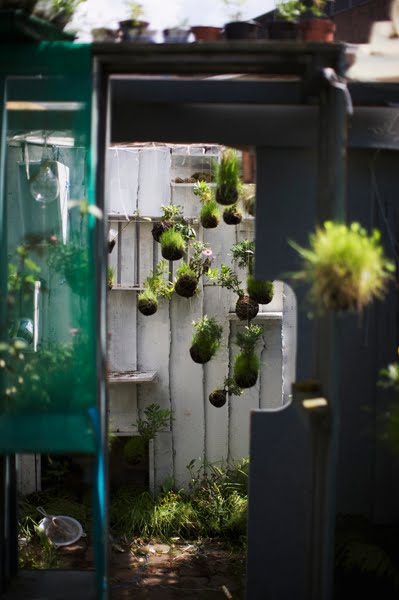 salongruen: Hängende Gärten