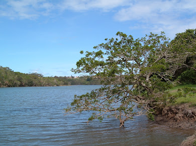 Down by the riverside
