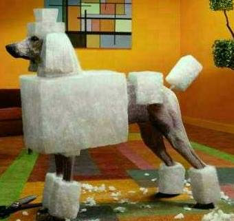 square%2520poodle.jpg