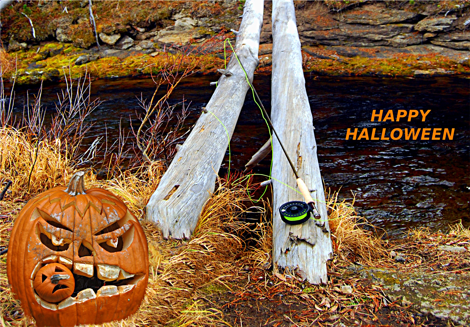 Fly Fishing In Yellowstone National Park Tradition