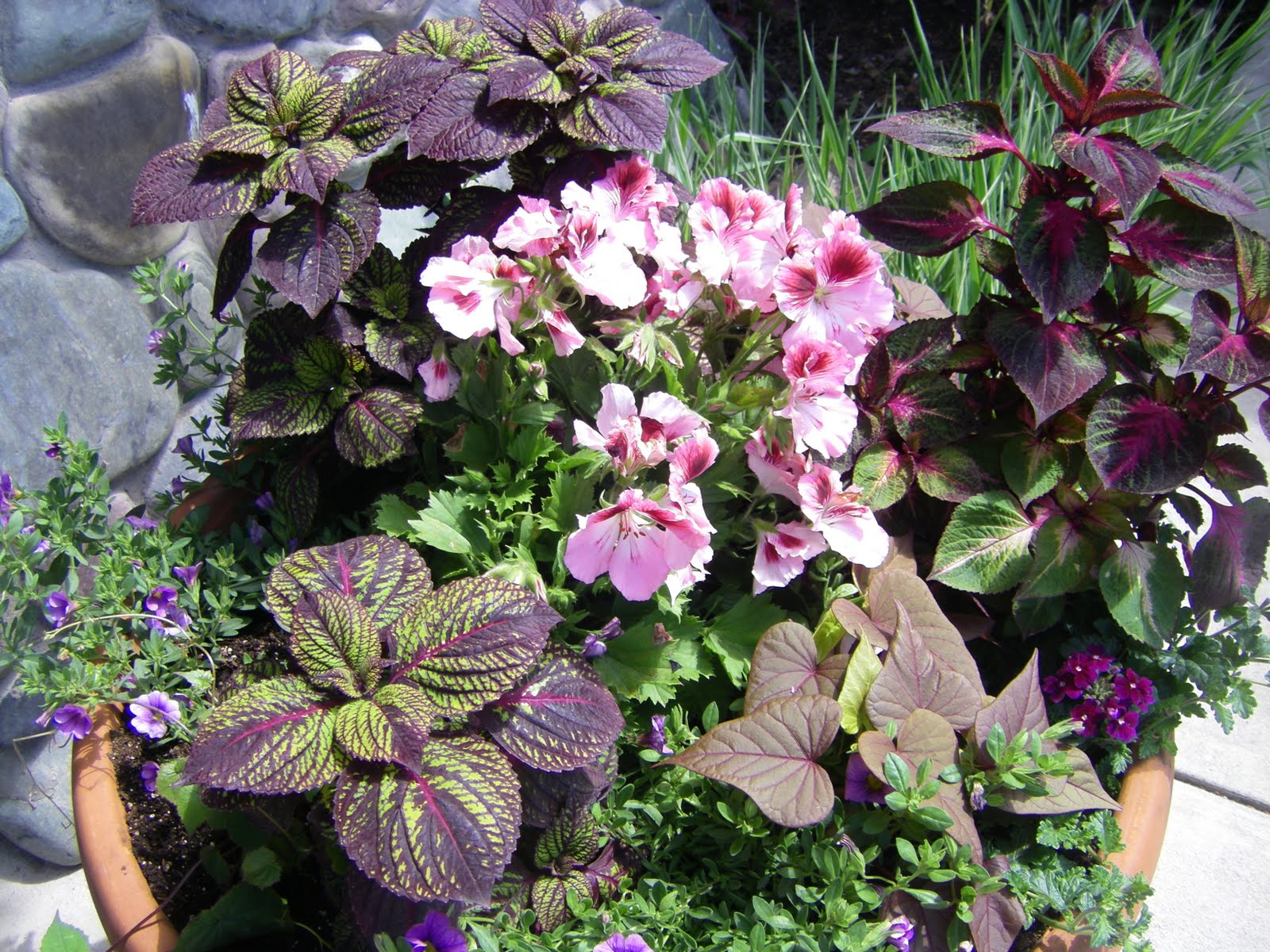 Bigfork Mountain Lake Lodge Flower Pots & Hanging Flowers Mountain