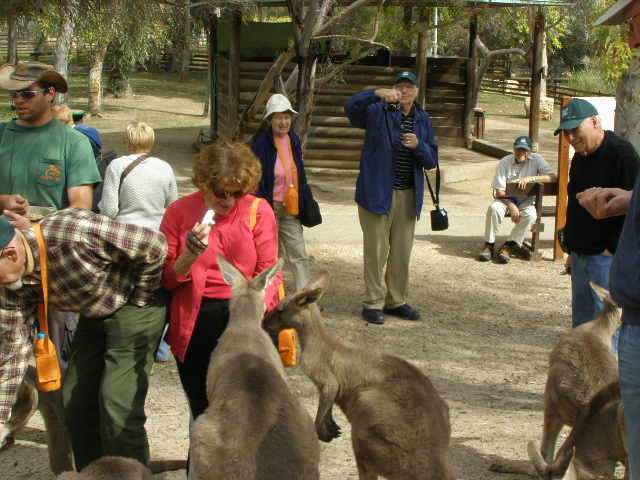 [Gan+GruuP2210033+(19).JPG]