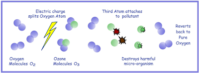 increase-oxygen-in-koi-pond-water-plants