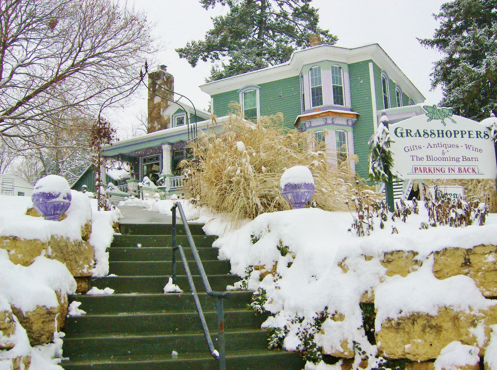 Old Black Cat Boo Christmas in LeClaire, Iowa