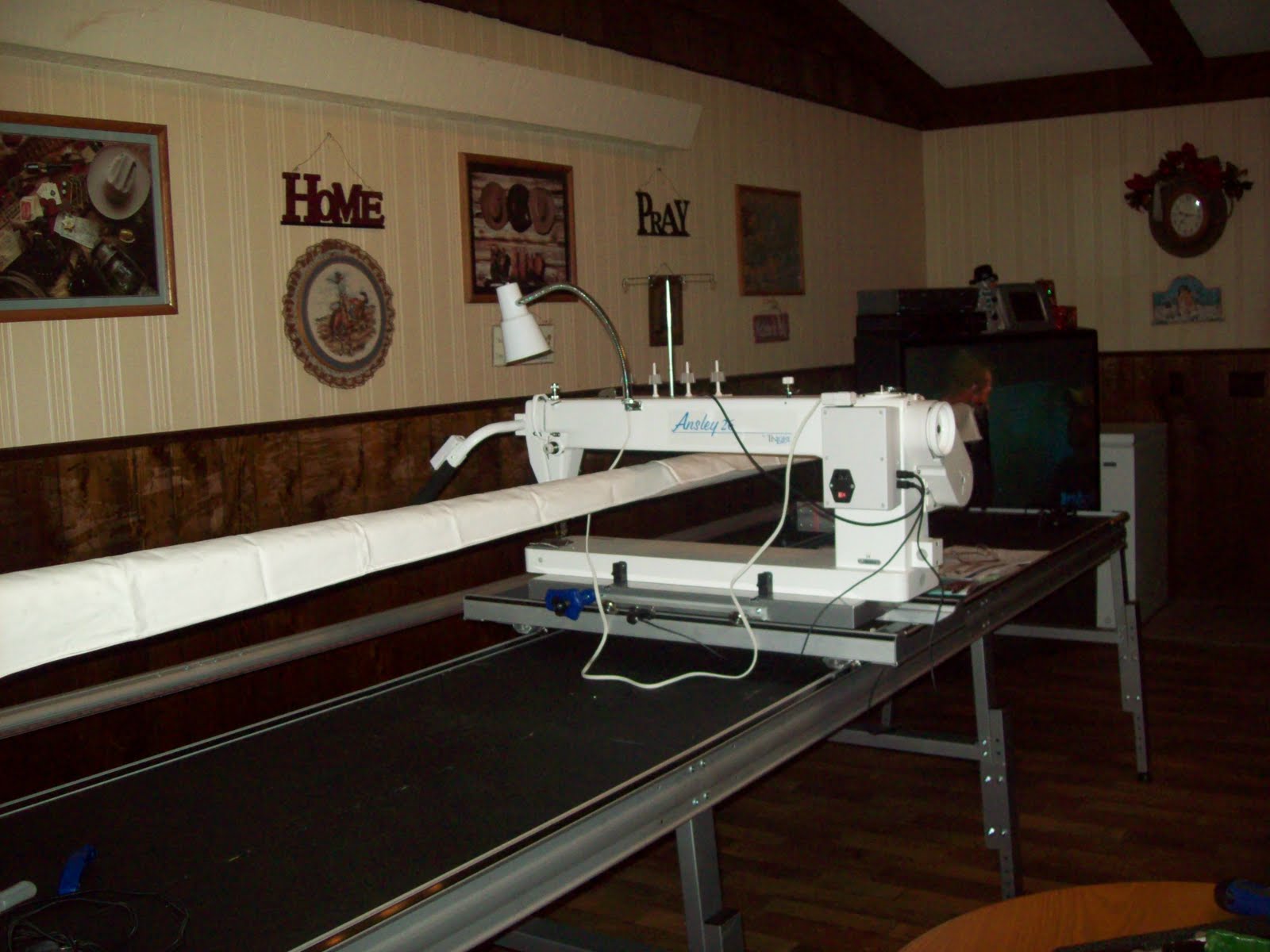 Quilting Around the Corner Tin Lizzie Ansley is ready to quilt...I hope!