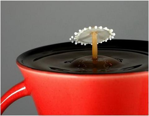 [red-gear_coffee-cream012.jpg]