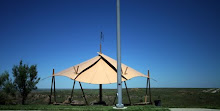 Texas shelter/landscape