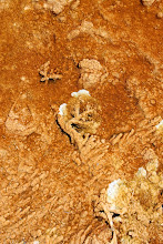 sulfur pool
