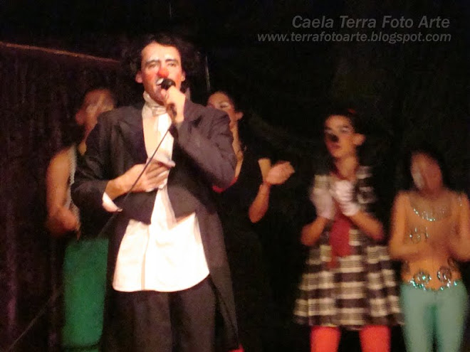 Apresentando os artistas