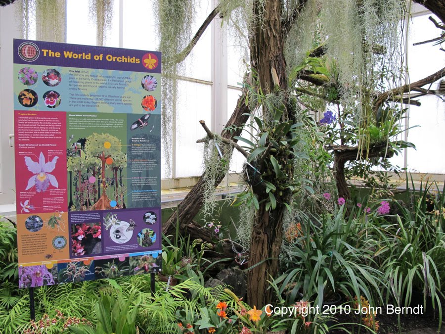 [Buffalo+and+Erie+County+Botanical+Gardens+-+World+of+Orchids+display.jpg]