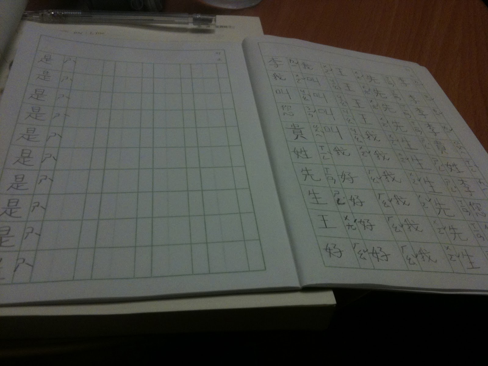 Rotary Youth Exchange Gap Year in Taiwan How do you say kanji in