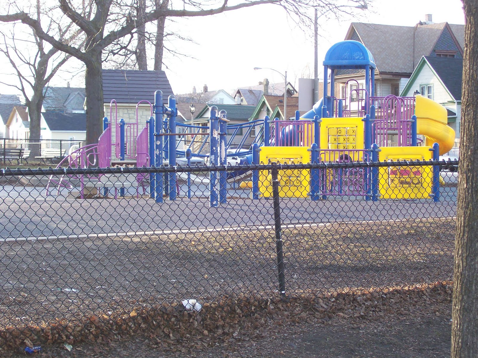 Service learning at Escuela Vieau