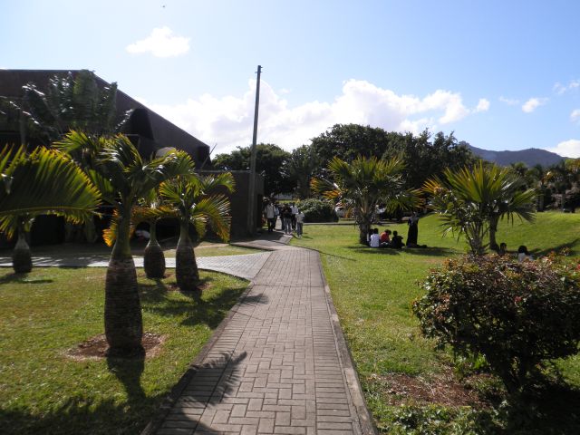 anja in mauritius university of mauritius atom design