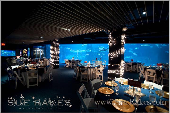 Aquarium Wrightsville Beach Nc The Best Beaches In World Aquarium Wrightsville Beach Nc The Best Beaches In World