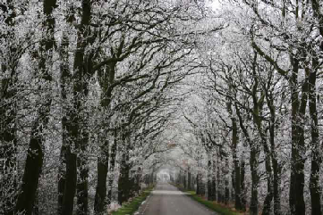 Fryslan Wonderland