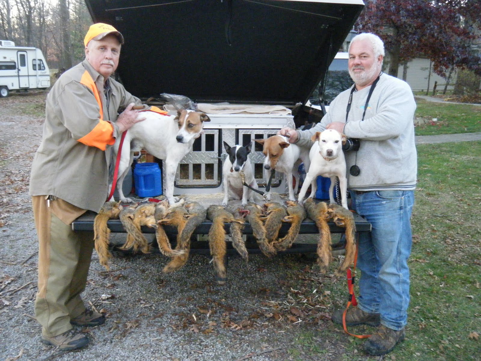 Galla FeistSquirrel Dog Hunting Photo Gallery Ohio Hunting