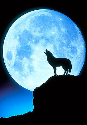wolf-howling-at-the-moon.jpg