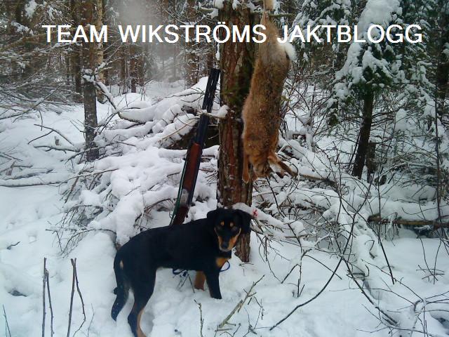 team wikströms jaktblogg