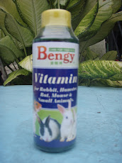Vitamin Bengy