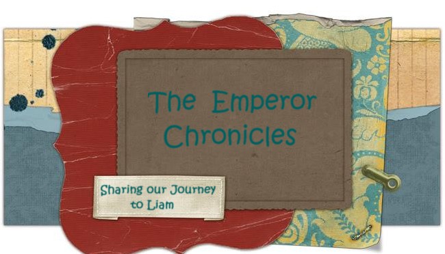 The Emperor Chronicles