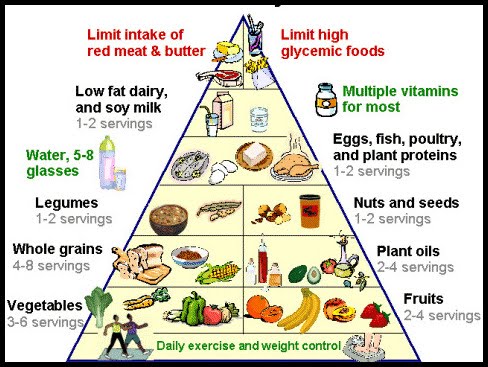 Gambar Piramid Makanan Kartun