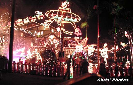 [Xmas+Lights.JPG]