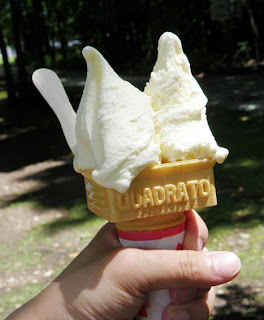 japanese ice cream furano white cheese ice cream