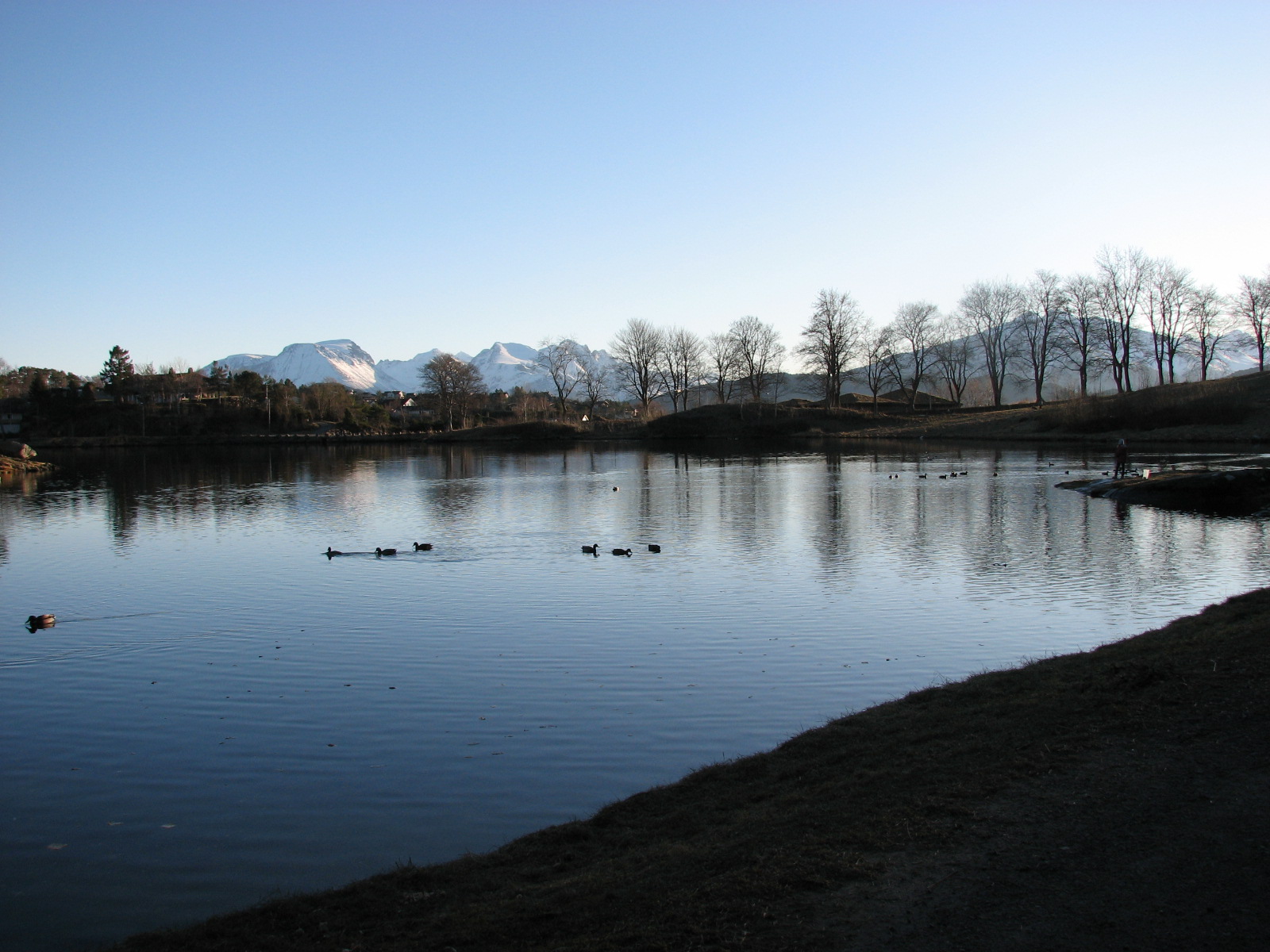 [IMG_6352.JPG]