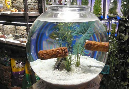 [banksyfishtank2-thumb.jpg]