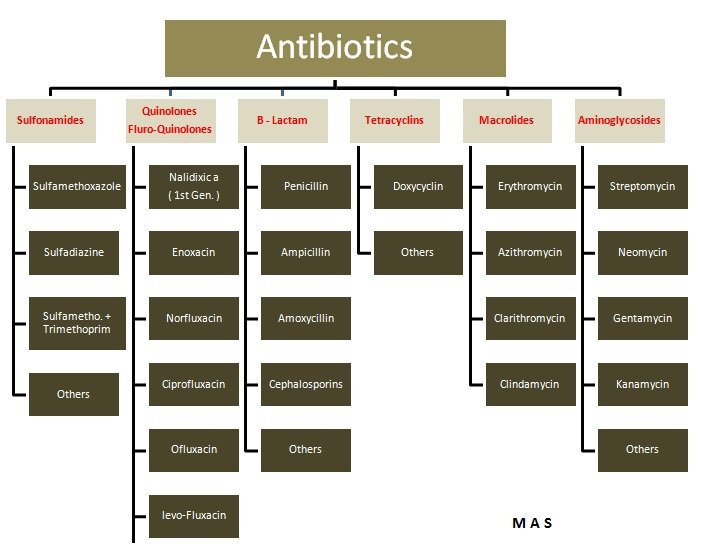 Antibiotic Classifications - Boundless Open Textbook