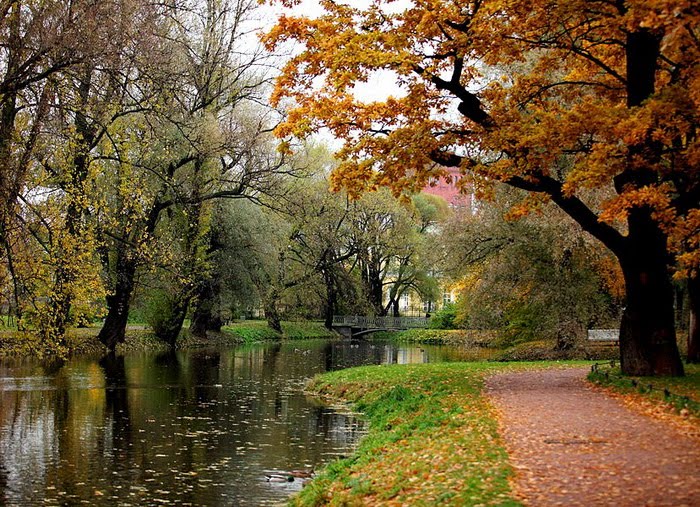Таврический сад СПБ осень