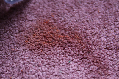 silly putty in carpet