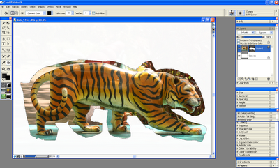 Isolate Picture Example Isolating a photo image with Painter