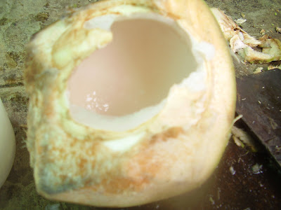 Bukan sekadar resipi: Jelly kelapa