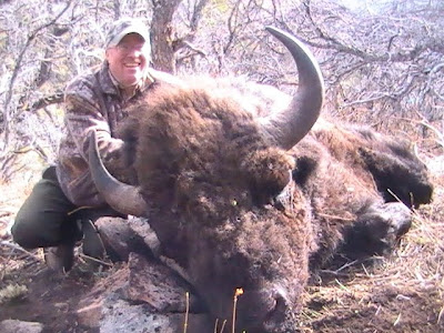 buffalo henry mountains hunting