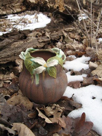 [SpringsHeraldPot.jpg]