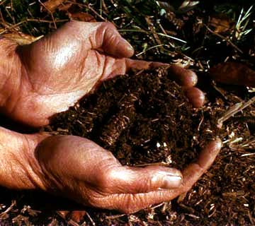 [9_soil_tilth.jpg]