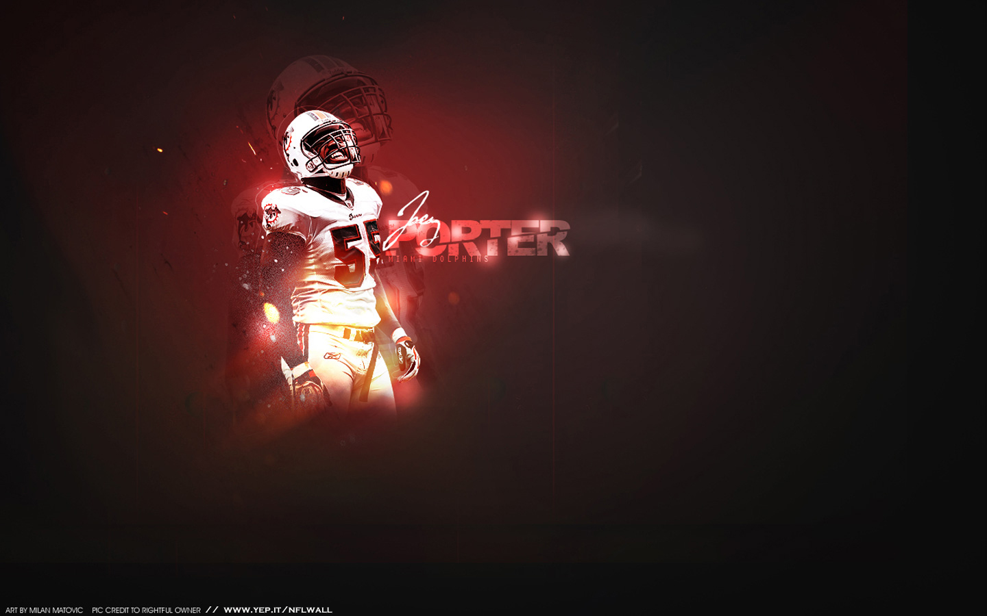 Porter Joey #55, Dolphins wallpaper