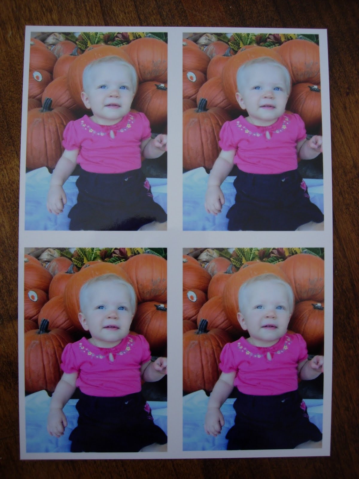 Wee Can Do It: Create using wallet size photos