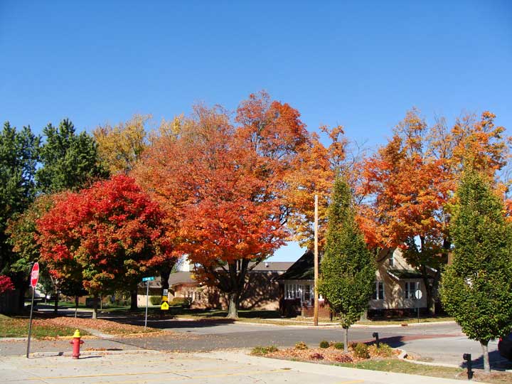 The Golden Years Wakarusa, Indiana